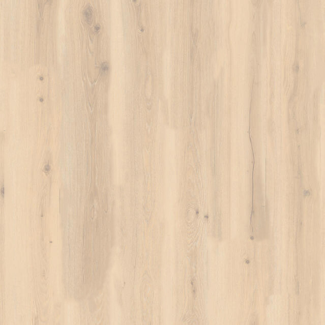 Forest Oak Pistaccio